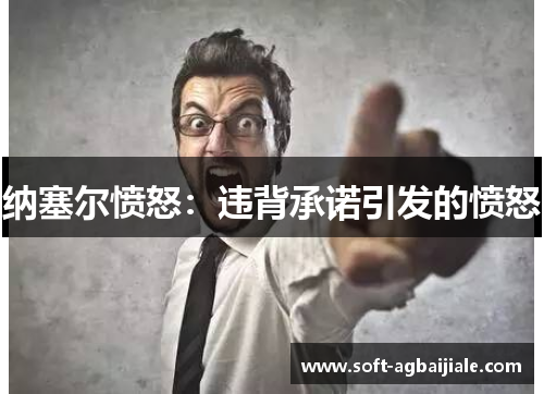 纳塞尔愤怒：违背承诺引发的愤怒