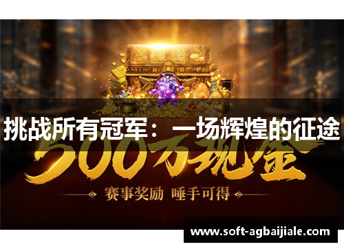 挑战所有冠军：一场辉煌的征途