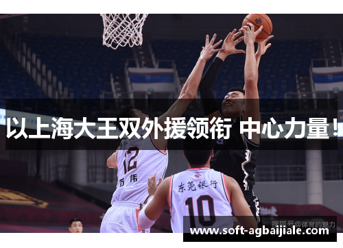 以上海大王双外援领衔 中心力量！