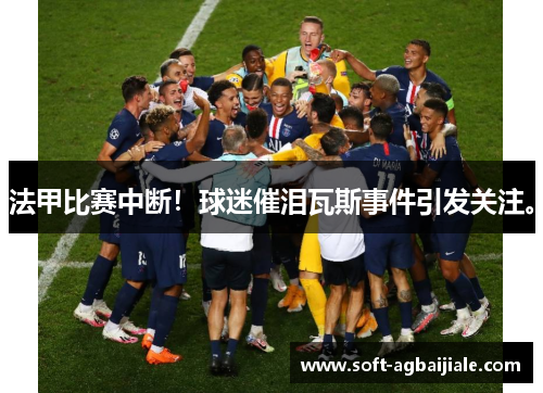 法甲比赛中断！球迷催泪瓦斯事件引发关注。